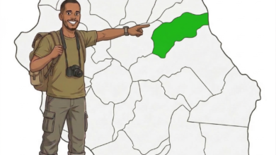 carte Bras Panon à La Réunion