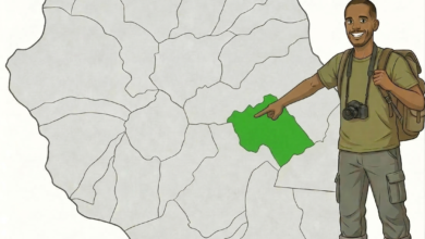 carte Plaine des Palmistes à La Réunion