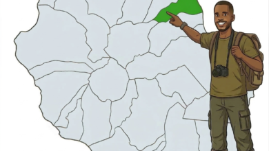 carte Saint-André à La Réunion