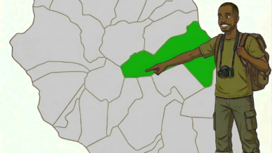 Carte Saint-Benoît à La Réunion