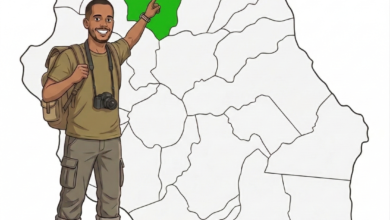 carte saint denis La Réunion