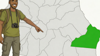 carte Sainte-Rose de La Réunion